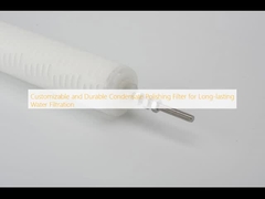 ตัวกรองขัดเงาคอนเดนเสทที่ปรับแต่งได้และทนทานเพื่อการกรองน้ำที่ยาวนาน