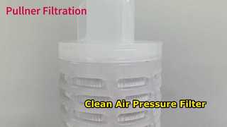 ตลับกรองจีบ PTFE ขนาด 30 นิ้วสำหรับแรงดันอากาศ