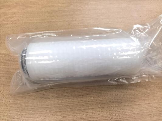 PLPP Series Ultra High Dirt Holding Capacity Pleated Filter Cartridge พร้อมการออกแบบขนาดช่องโป่งแบบชันและความเข้ากันได้อย่างกว้างขวางทางเคมี
